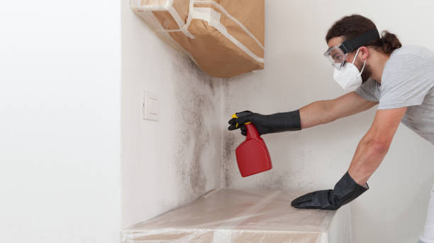 Professional Crawl Space Mold Removal technician working in Hudson, NC