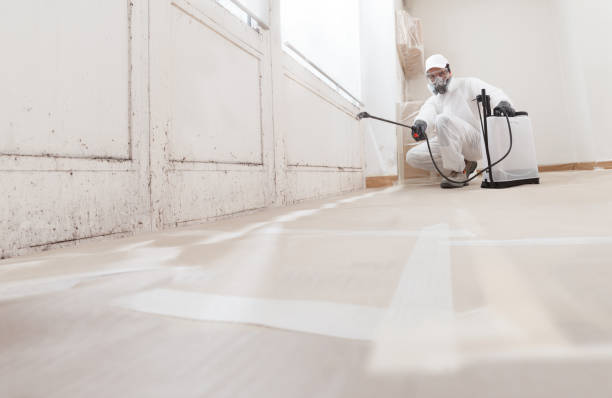 24/7 Emergency Crawl Space Mold Removal experts in Hudson, NC